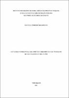DISSERTAÇÃO_MARCELO PINHEIRO NASCIMENTO _MESTARDO EM DIREITO CONSTITUCIONAL.pdf.jpg