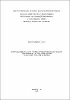DISSERTAÇÃO_ ALEXANDRE MAGALHÃES PINHEIRO_ MES. PROF. DIR. ECO. DESEN._2025.pdf.jpg