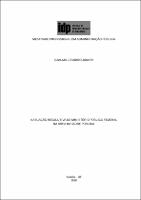 Dissertação_Djalma Leandro Junior_ADMINISTRAÇÃO PÚBLICA_2018.pdf.jpg