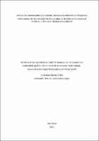 DISSERTAÇÃO_GUILHERME HANSEN CIRILO _MESTRADO PROFISSIONAL E INTERDISCIPLINAR EM DIREITO_2021.pdf.jpg