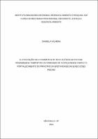 Dissertação_DANIELA VILHENA_Mestrado profissional em direito, justiça e desenvolvimento.pdf.jpg