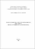 Dissertação_ RAPHAEL BORGES LINS MACIEL MONTEIRO_2020.pdf.jpg