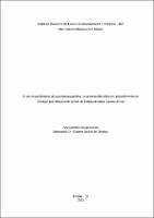 DISSERTAÇÃO_Ana Carolina Araujo Narde_Mestrado_2023.pdf.jpg