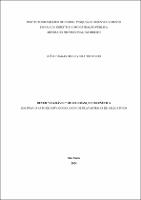 IDSSERTACAO_JOÃO CHAGAS DE OLIVEIRA TOURINHO_MESTR PROF DIR_2024.pdf.jpg