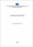 Dissertação_CARLOS SOARES SANT’ANNA_Mestrado Profissional em Direito (1).pdf.jpg