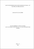 Dissertação_ ALEKSSANDRO SOUZA LIBÉRIO_MESTRADO PROFISSIONAL EM DIREITO_2020.pdf.jpg