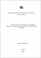 Monografia_ADRIANO CARAMASCHI_Graduação em Economia.pdf.jpg