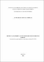 Dissertação_ANA BEATRIZ DO AMARAL CID ORNELAS_Mestrado em Direito Constitucional.pdf.jpg