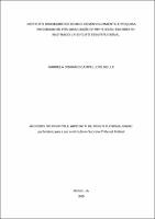 Dissertação_GABRIELA DOURADO CAMPELLO DE MELL_Mestrado em Direito Constitucional.pdf.jpg