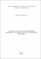 Dissertação_TIMÓTEO BEZERRA DA SILVA_Mestrado Acadêmico em Direito.pdf.jpg