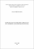 DISSERTAÇÃO_PARCIAL_JULIA SILVEIRA NUNES_ MES. ACA. DIR. CONST._2026.pdf.jpg