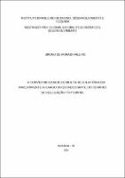 Dissertação_BRUNO DE MORAIS FALEIRO_Mestrado em Direito Econômico e Desenvolvimento.pdf.jpg