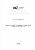 Dissertação_Lara Correêa Sabino Bresciani.pdf.jpg