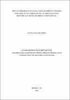 Dissertação_VICTOR CHEBLI DE CASTRO_Mestrado_2023.pdf.jpg