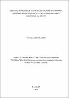 TESE_RAFAEL SEIXAS SANTOS_DOUTORADO EM DIREITO.pdf.jpg