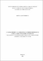 Dissertaçãp_MARCOS CAMPOS BARRETTO_Mestrado Acadêmico em direito (1).pdf.jpg