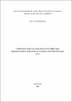 Dissertação_DANILO LOPES BALIZA_Mestrado_2022.pdf.jpg