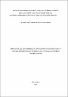 Dissertação_ALVARO LUIZ CARVALHO DA CUNHA JUNIOR_Mestrado_2023.pdf.jpg
