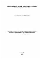 Dissertação_RUY GUILHERME TREVISAN BORBA_Mestrado Profissional em Direito.pdf.jpg