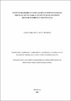 Dissertação_ALESSANDRA NOYA TANURE BULHOES_Mestrado em Direito Constitucional.pdf.jpg