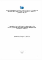 Dissertação_CAMILLA ARAÚJO SOARES DA SILVA_Mestrado_2022.pdf.jpg