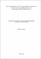 Dissertação_ Thiago Santos Agelune _Mestrado_2023.pdf.jpg