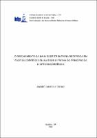 Monografia_ANDRÉ SANTOS FERRAZ_Especialização_2017.pdf.jpg
