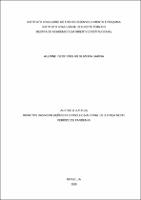 Dissertação_ ALLINNE RIZZIE COELHO OLIVEIRA GARCIA_MESTRADO EM DIREITO_2019.pdf.jpg