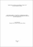 DISSERTAÇÃO_Ivan Furlan Falconi_Mestrado_2023.pdf.jpg