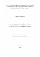 TESE_GUSTAVO VETTORATO_DOUTDIR_PARCIAL_2025.pdf.jpg