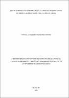 Dissertação_RAPHAEL JUNQUEIRA VALADARES AMPARO_Mestrado em Direito.pdf.jpg