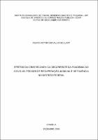 TCC_ PEDRO VICTOR CARVALHO GOULART_2020.pdf.jpg