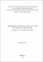 Dissertação_CLAUDIO CASTRO MATTOS_Mestrado profissional em Direito.pdf.jpg