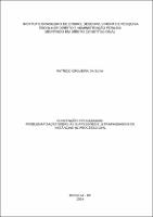 Dissertação_PATRICO CIRQUEIRA DA SILVA_Mestrado em Direito Constitucional.pdf.jpg