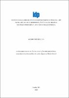Dissertação _WELBIO COELHO SILVA _MESTRADO EM ADMINISTRAÇÃO PÚBLICA_2020.pdf.jpg
