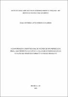 DISSERTACAO_SAULO JERÔNIMO LEITE BARBOSA DE ALMEIDA_MESTR BSB_2023.pdf.jpg