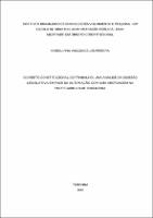 Dissertação_KAROLINNA VASCONCELOS PEREIRA_Mestrado em Direito Constitucional.pdf.jpg