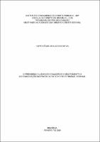 Dissertação_ KAYO CÉSAR ARAÚJO DA SILVA_MESTRADO EM DIREITO_2019.pdf.jpg