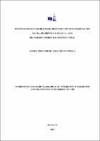 TESE_RACHEL PINHEIRO DE ANDRADE MENDONÇA _DOUT DIR_2025.pdf.jpg