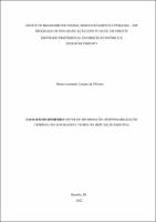 DISSERTAÇÃO_BRUNO LEONARDO CACIANO DE OLIVEIRA_MESTRADO PROFISSIONAL EM DIREITO_2022.pdf.jpg