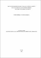 DISSERTAÇÃO_PEDRO HENRIQUE FERREIRA MARQUES_MESTRADO PROFISSIONAL EM DIREITO_2024.pdf.jpg