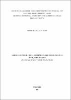 Dissertação_ROBERTO LUIS LUCHI DEMO_Mestrado_2021.pdf.jpg