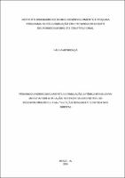 Tese_Paula Mendonça_Doutorado em Direto 2024.pdf.jpg