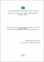 DISSERTAÇÃO_MARIANA PICCOLI LINS CAVALCANTI_MESTRADO EM ECONOMIA.pdf.jpg