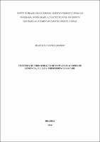 Dissertação_BEATRIZ DE MATTOS QUEIROZ_Mestrado Acadêmico em Direito Constitucional.pdf.jpg