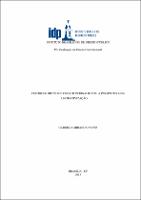 Monografia_GABRIELA MIRANDA NAVES_PÓS LATO EM DIREITO CONSTITUCIONAL_2013.pdf.jpg