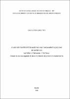 Dissertação_  CAIO VICTOR LOPES TITO _MESTRADO EM DIREITO_2018.pdf.jpg