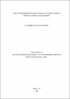 Dissertação_FERNANDO PEREIRA DE AZEVEDO_Mestrado_2023.pdf.jpg