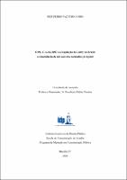 Dissertação _JOSÉ PEDRO VAZ FERNANDES_ MESTRADO EM ADMINISTRAÇÃO PÚBLICA_2020.pdf.jpg
