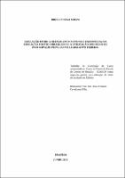 Artigo_Drielly Silva Souza_GradDIR_2018.pdf.jpg